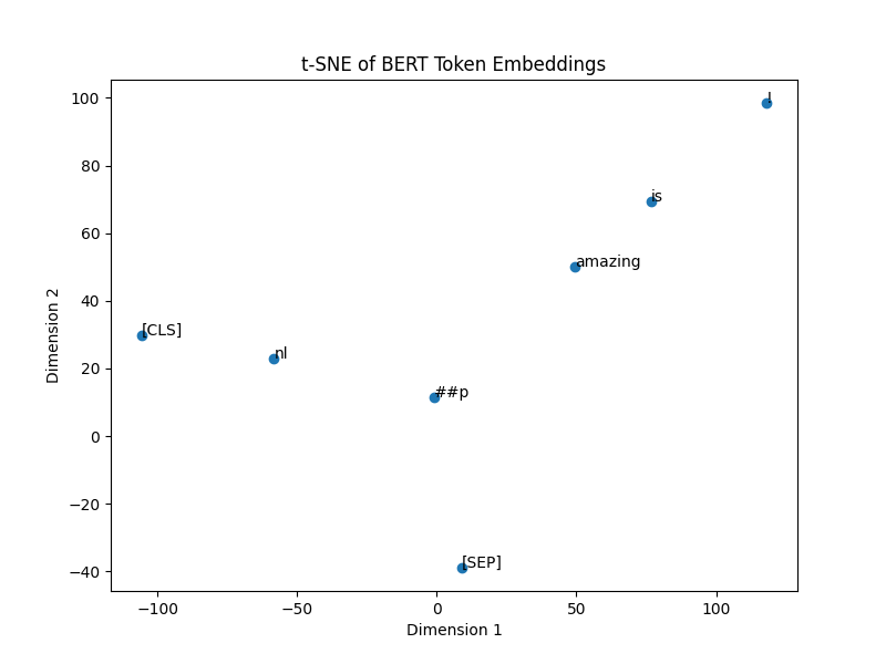 BERT Token Embeddings tSNE